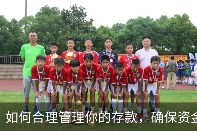如何合理管理你的存款，确保资金安全